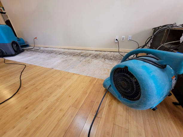 Professional Flood Damage Cleanup technician working in West Liberty, WV